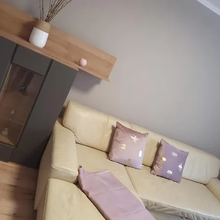 Apartment Mandau Blick